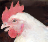 Image of chicken in a cage